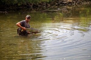 fly-fishing-flies-640x480-55597619.jpeg