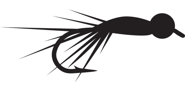 fly fishing flies