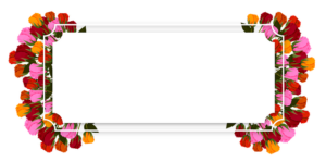 license-plate-frames-640x480-17487709.png
