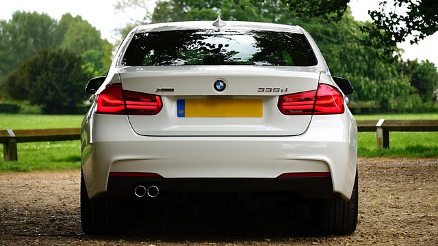 license plate frames