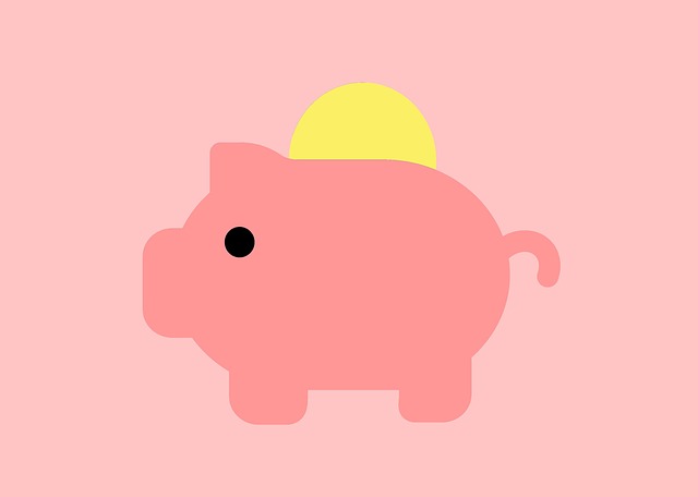 personal finance software