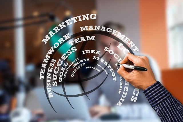 social media management