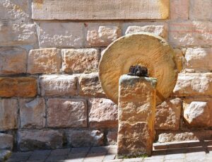 stump-grinding-640x480-41865644.jpeg