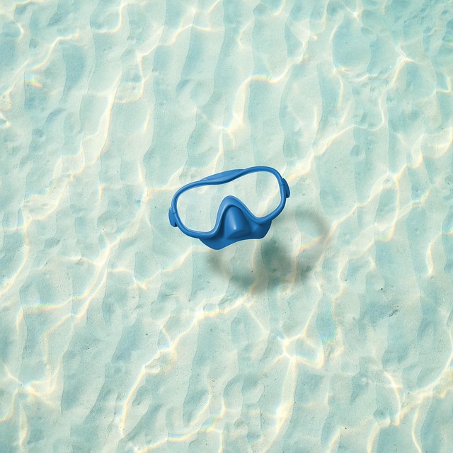 swimming equipment
