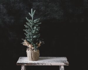tree-removal-640x480-54083064.jpeg