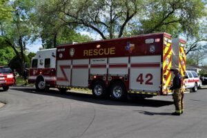 tree-services-640x480-3516261.jpeg