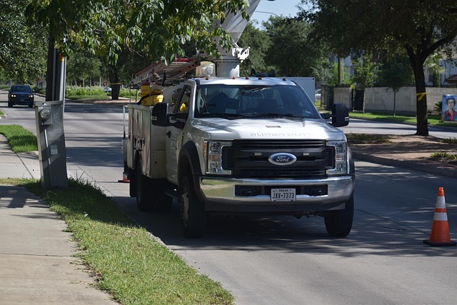 tree services