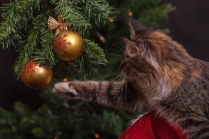 tree-trimming-640x480-65435583.jpeg