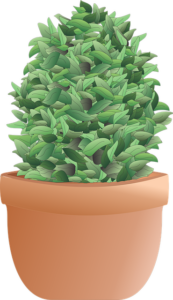 tree-trimming-640x480-80960356.png