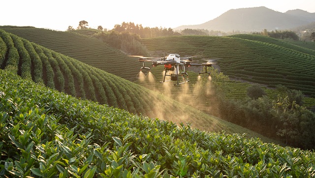 uavs-640x480-34327078.jpeg
