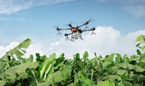 uavs-640x480-97846671.jpeg