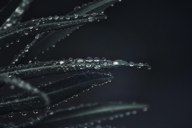 water
