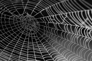 web-design-640x480-70240654.jpeg