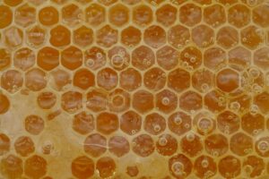 beekeeping-supplies-640x480-23672814.jpeg