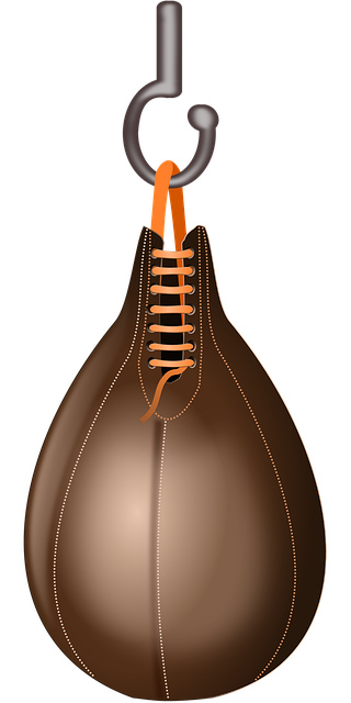 boxing-bag-gloves-640x480-53294086.png