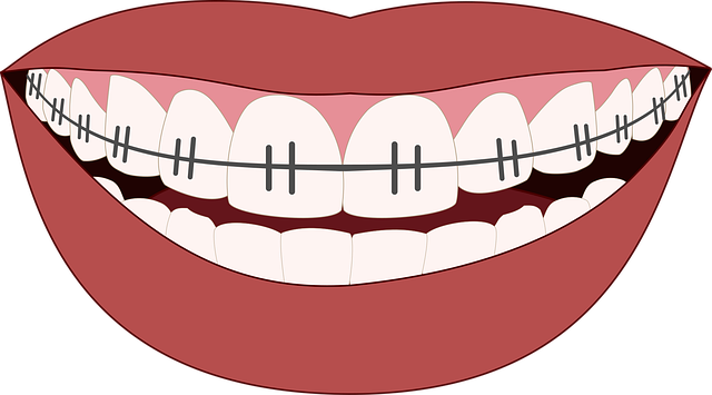 dental burs