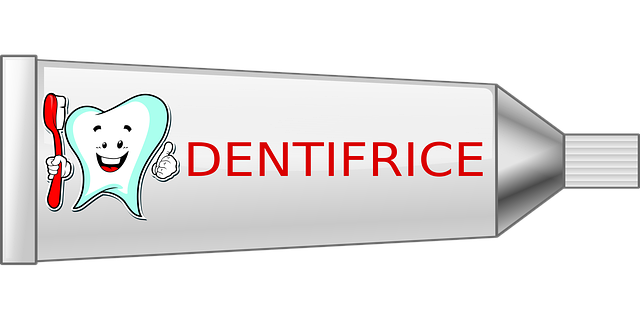 dental burs
