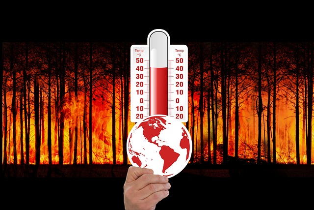 dog-thermometers-640x480-34193595.jpeg