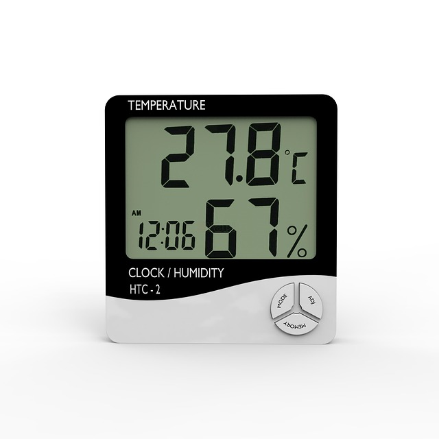 dog thermometers
