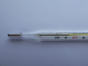 dog-thermometers-640x480-43691196.jpeg