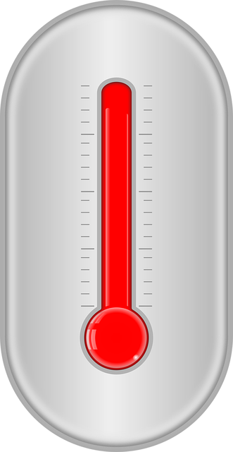 dog-thermometers-640x480-50419489.png