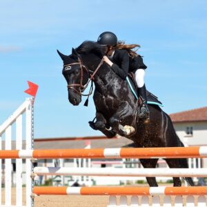 equestrian-equipment-640x480-25827103.jpeg