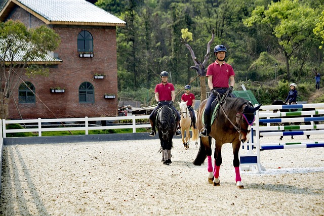 equestrian equipment