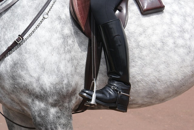 equestrian equipment