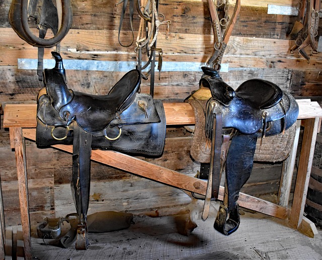equestrian equipment