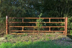 fencing-foils-640x480-48995910.jpeg