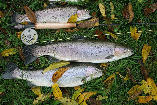fly fishing flies