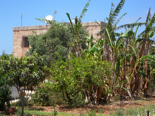 garden houses