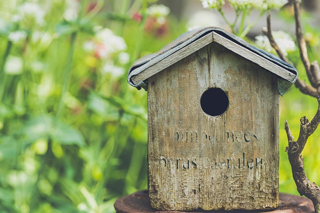 garden-houses-640x480-33635313.jpeg
