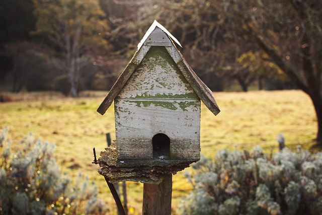 garden-houses-640x480-57052600.jpeg