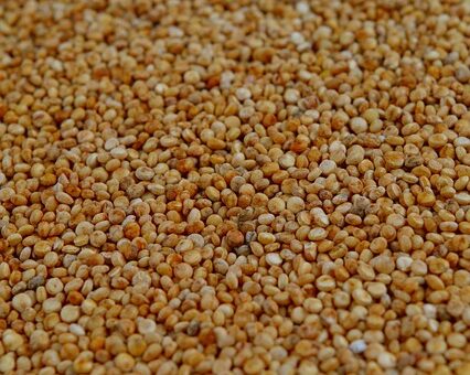high-fiber-cereals-640x480-33202267.jpeg
