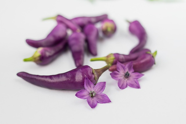 jalapenos peppers