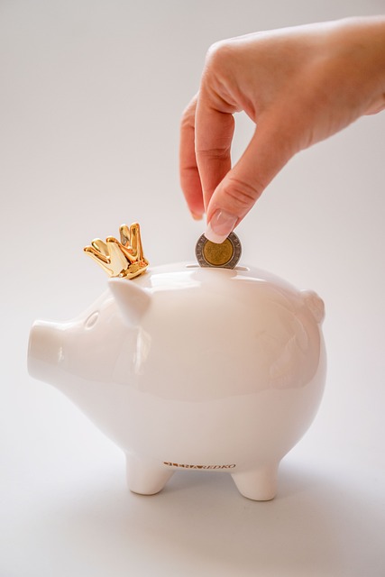 personal finance software