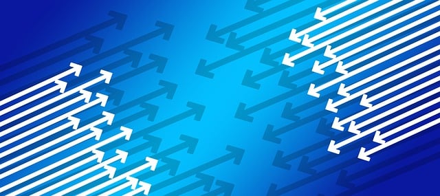 social media management