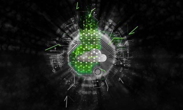 streaming media players