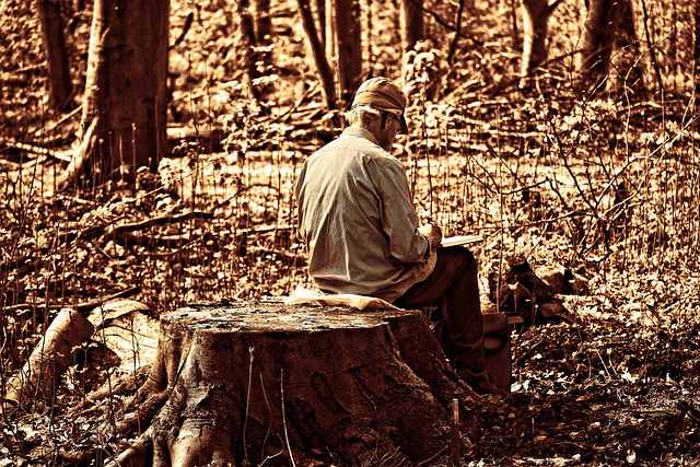 stump-grinding-640x480-77018067.jpeg