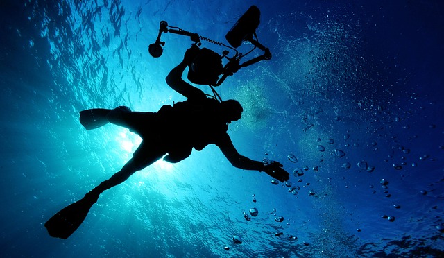 swimming equipment