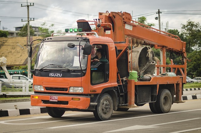 tree services
