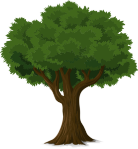 tree-trimming-640x480-2349663.png