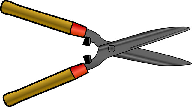 tree-trimming-640x480-53302433.png