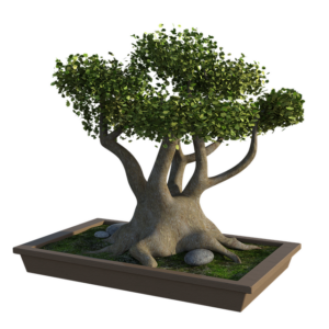 tree-trimming-640x480-66875467.png