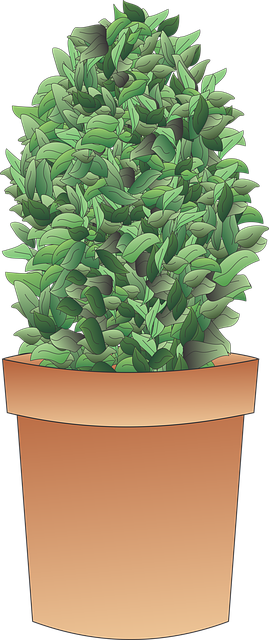 tree-trimming-640x480-91850453.png