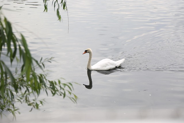 water-640x480-30124035.jpeg