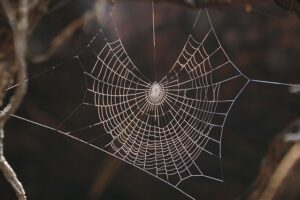web-design-640x480-43627356.jpeg