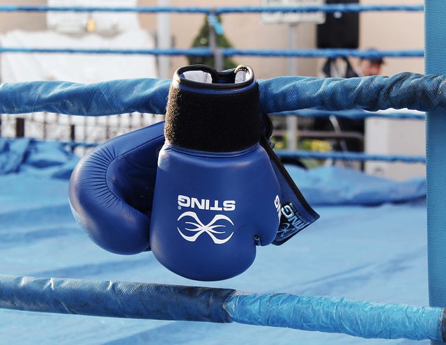 boxing bag gloves