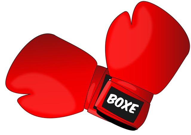 boxing bag gloves